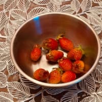 我が家の収穫🍓