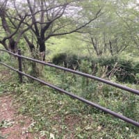 春日山作業
