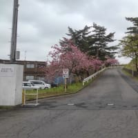 いやはや