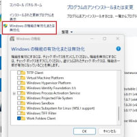 Windows 11 Canary チャンネルに Build 27891.1000 が配信されてきました。