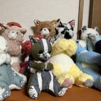おしらせ