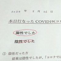 ついに