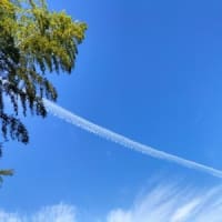 詩で、春を満喫するのもありかな♪