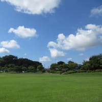 広々公園　ただの1周でも