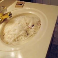 いざというとき