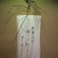 紅茶茶会