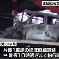 大分のトンネルで８８歳の馬鹿ジジイが大型トラックで反対車線に食み出して乗用車に打つかり、乗用車の女性を⚫️害