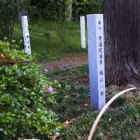 由緒正しき