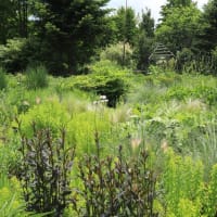 To the Garden Soil