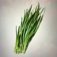 行者菜