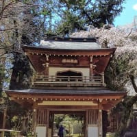 北鎌倉春の寺巡り🌸浄智寺