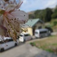 春の季節