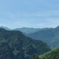 【午前】鳩ノ巣・白丸散策　　　　　　 【午後】ベーキャン飯能