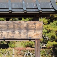 畝傍山