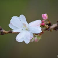 那谷寺にいってきた
