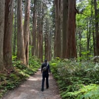 戸隠神社初参拝(^^)