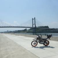 動態保存という名のツー