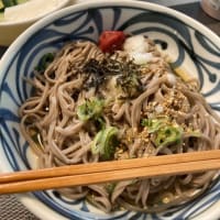 6月のごはん　奈良公園へ