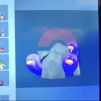フェス&ポケ