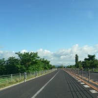 さくらんぼ