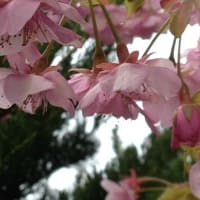 意識の果てに、、、、、