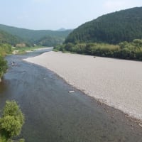 本日の海部川