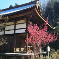 うれしい知らせ
