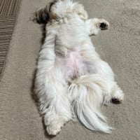 眠い(-_-)zzz