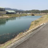 区切りお遍路旅 2/4 日目　3/25 20番-22番
