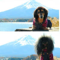富士山に会いに行く旅♪  ～河口湖～
