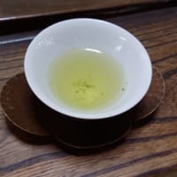京研二八三号をいただきました＠小島製茶