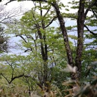なんて美しい　この世界　(#^.^#)