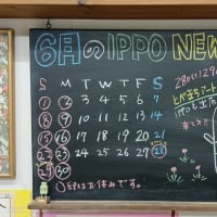 ６月のIPPO