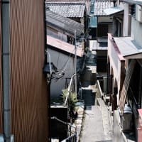 地域の伝統文化-三重県尾鷲市：須賀利