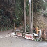 ４月の陽気に誘われて高尾山へ