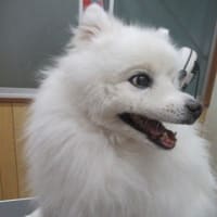 I LOVEウィートンの1週間が始まりました～！！