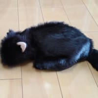 がんぐるみの使命