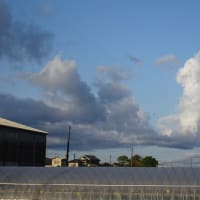 朝の雲