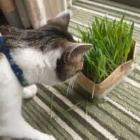 寒いけれど我慢します‼️