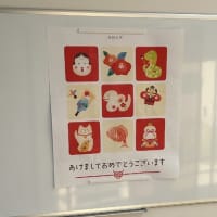 新年　再始動です。