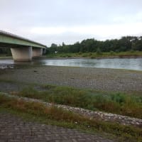 2023年　渓流シーズンまとめ