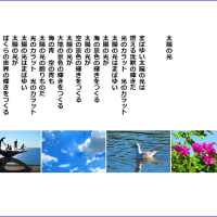 太陽の光