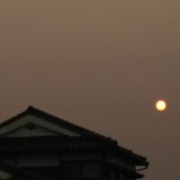 動く🌏
