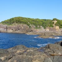 磯釣遊会             4月度例会         アオリイカ釣      (串本大島須江)