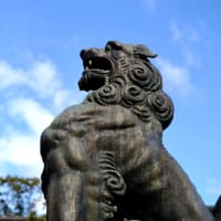 梅咲く神社へ‐三重県津市：結城神社
