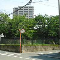 次郎長一家　小政の獄死