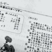 23年目のサルシファイ