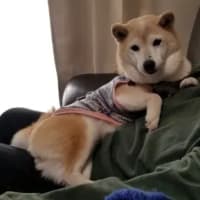 クリンへの想いは尽きなくて・・・297