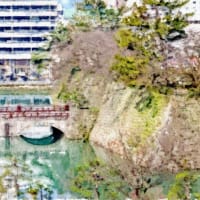 福井城の石垣と御本城橋　　続日本100名城