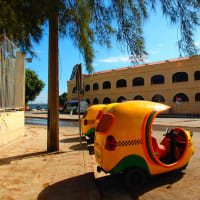 IN CUBA